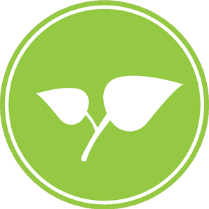 environment